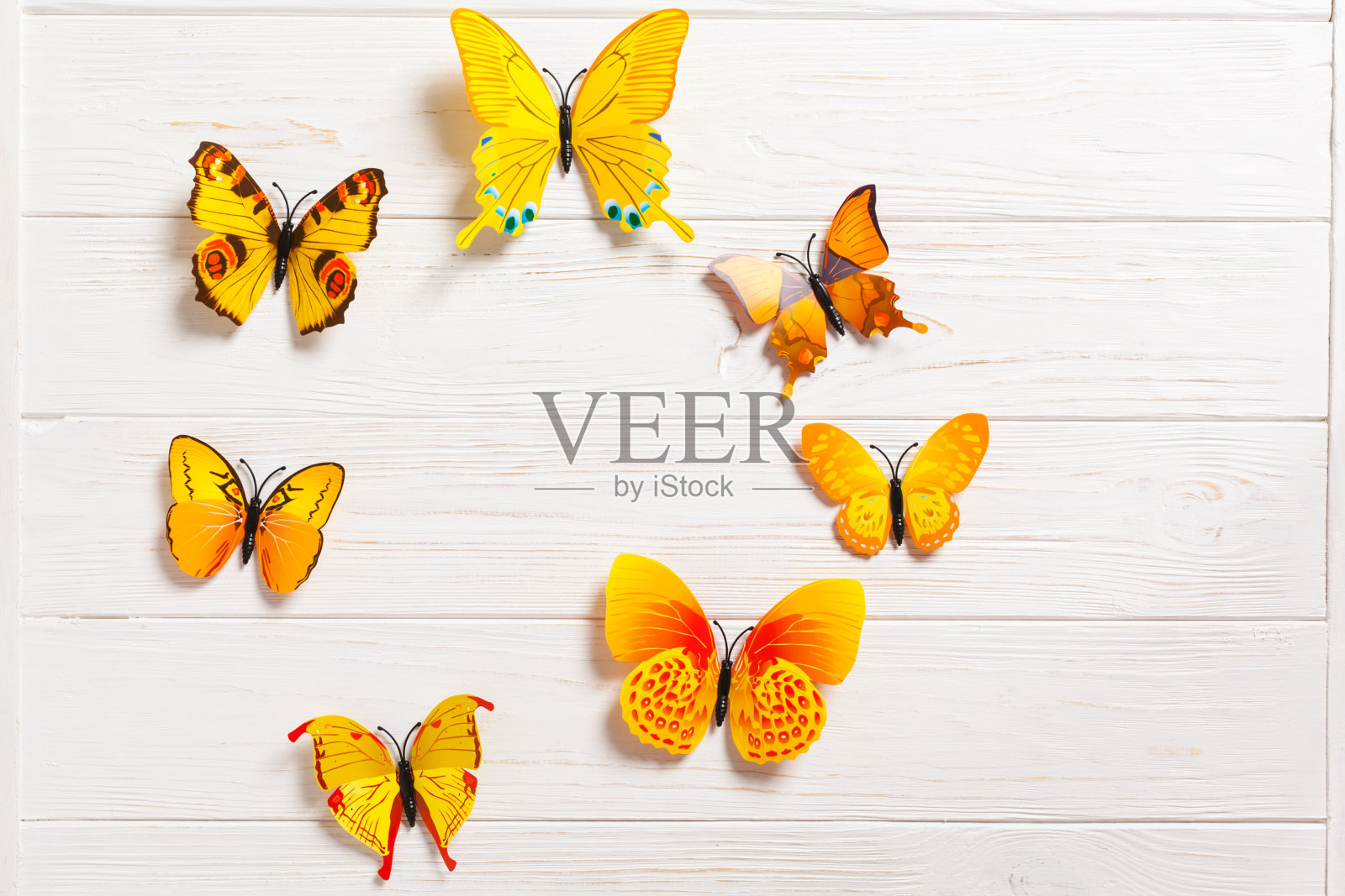 彩色的蝴蝶在木制的白色背景。平的。副本的空间。照片摄影图片