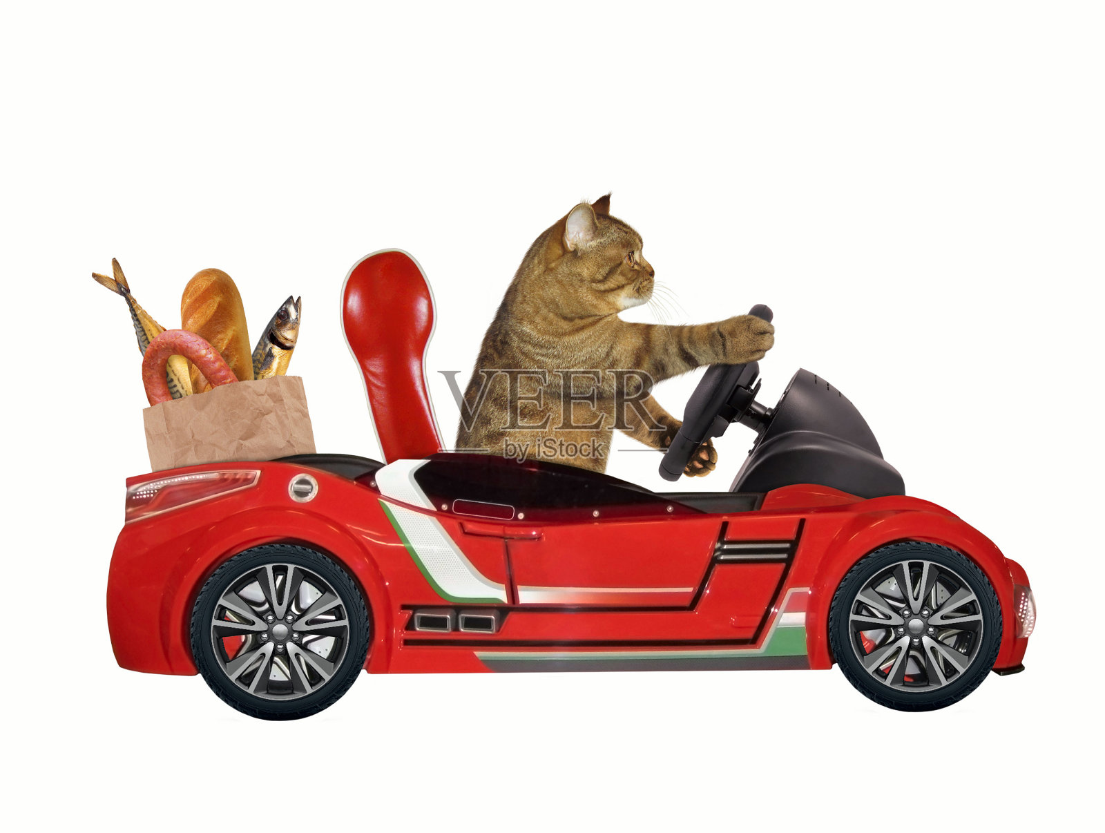 猫在红色的车1照片摄影图片