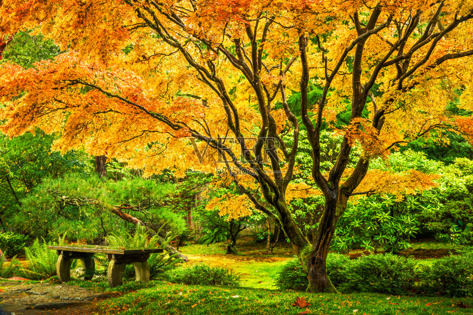 Fondos de Pantalla Japón Kioto Jardíns Otoño Pagodas Estanque Puentes ...