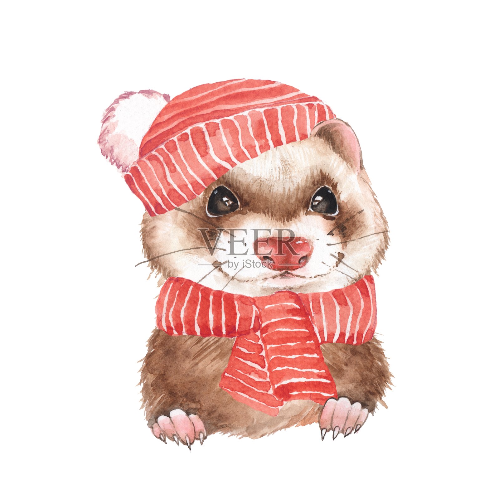 可爱的雪貂戴着红帽子插画图片素材