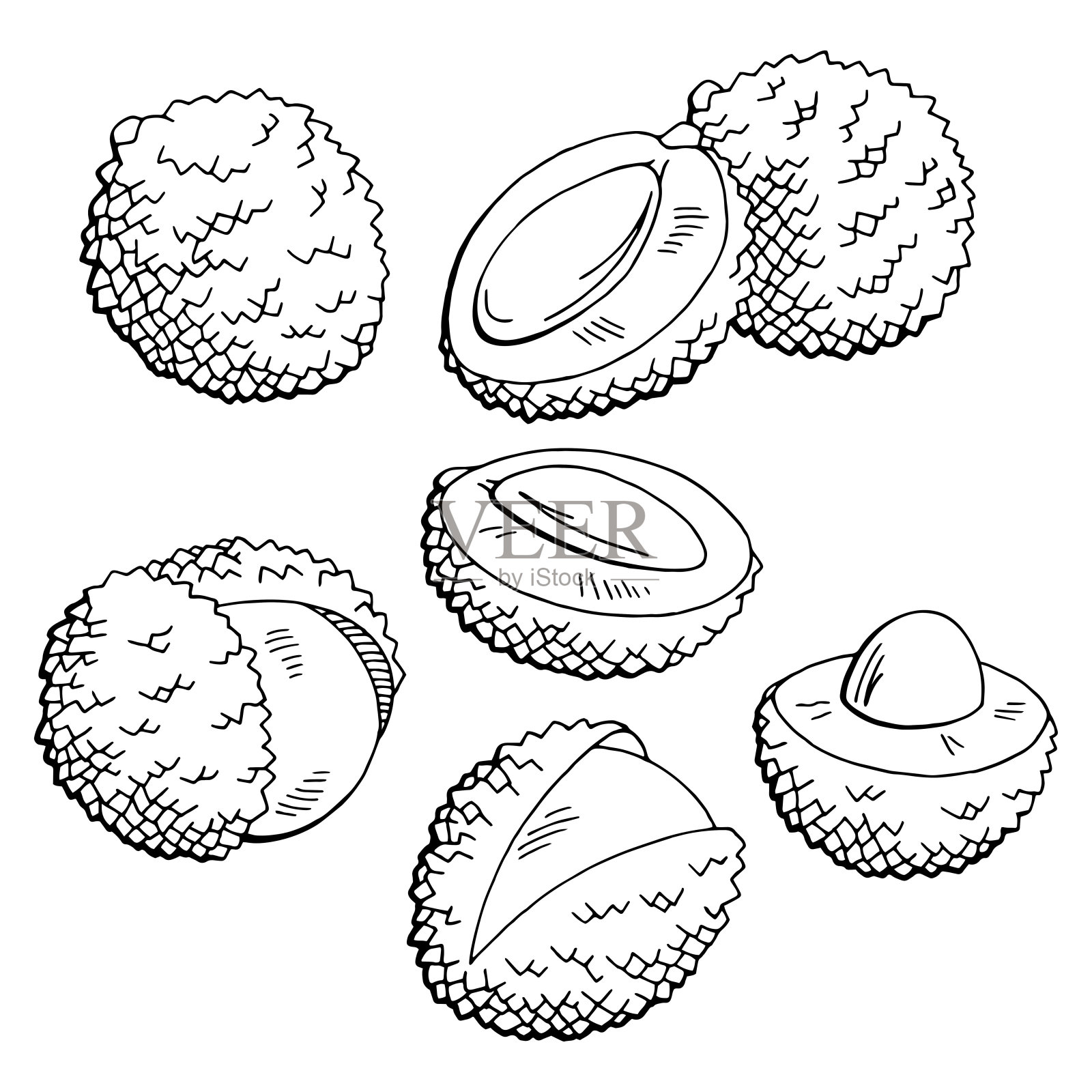 荔枝水果图形黑白孤立素描插图矢量插画图片素材
