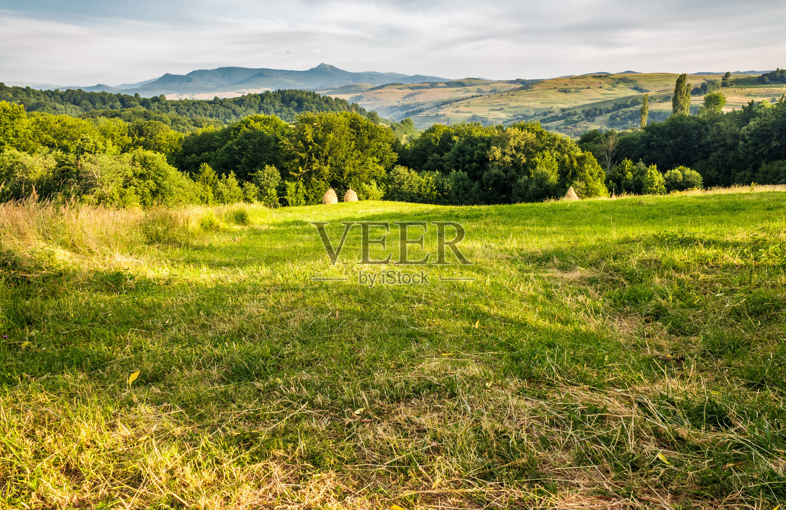 山上长满草的乡村田野照片摄影图片