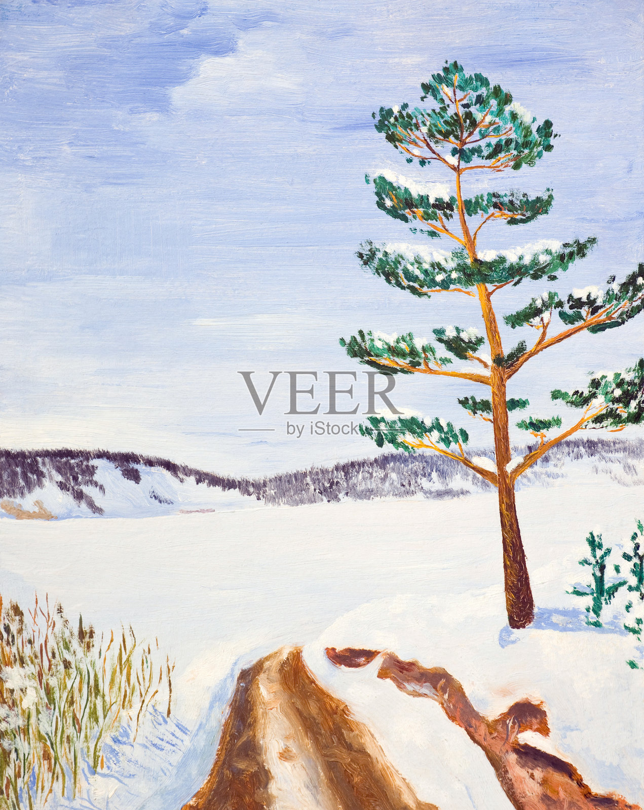 冬天的风景与松树。油画插画图片素材