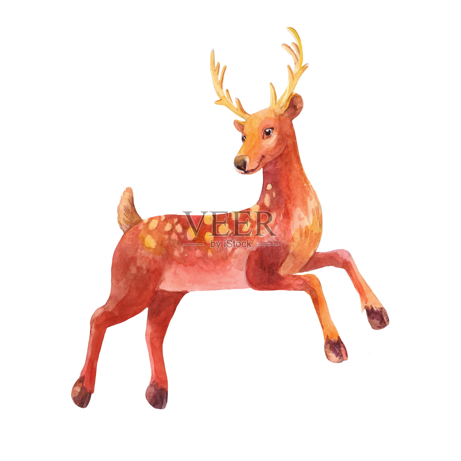 小的鹿。水彩插图插画图片素材