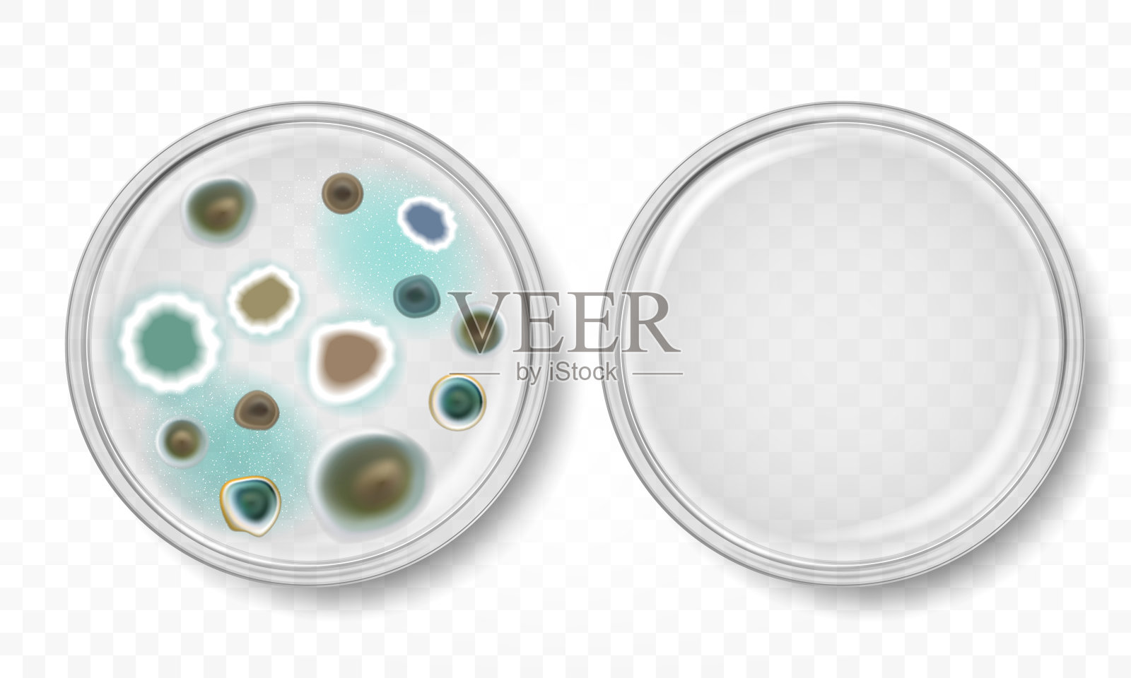 有霉菌菌落的培养皿插画图片素材