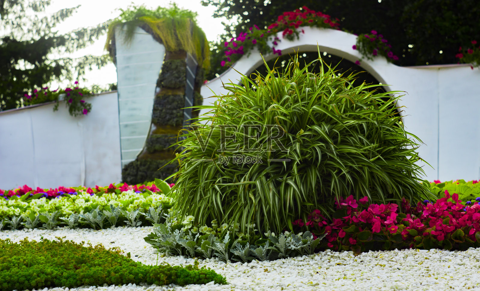 花坛日本式，一年生多色花朵照片摄影图片
