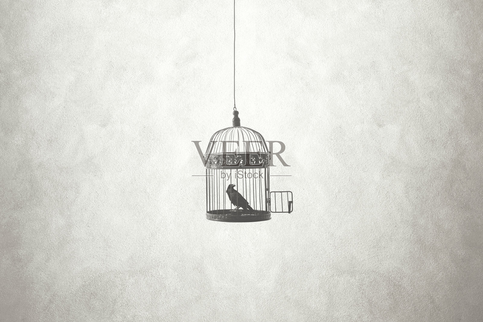 自由最小的概念，鸟在开放的笼子里照片摄影图片