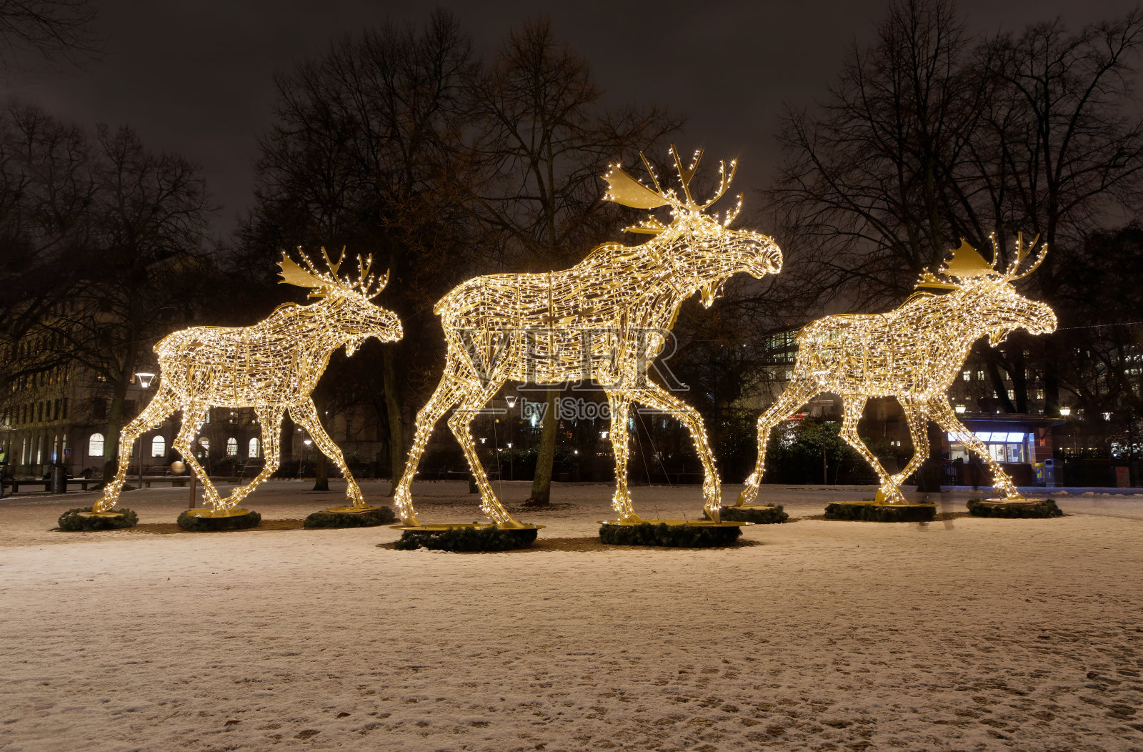 巨大的麋鹿或驼鹿圣诞装饰用led灯照片摄影图片