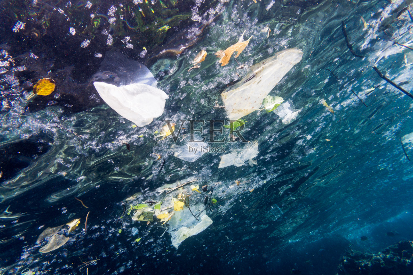环境问题:海洋塑料污染的水下图像照片摄影图片