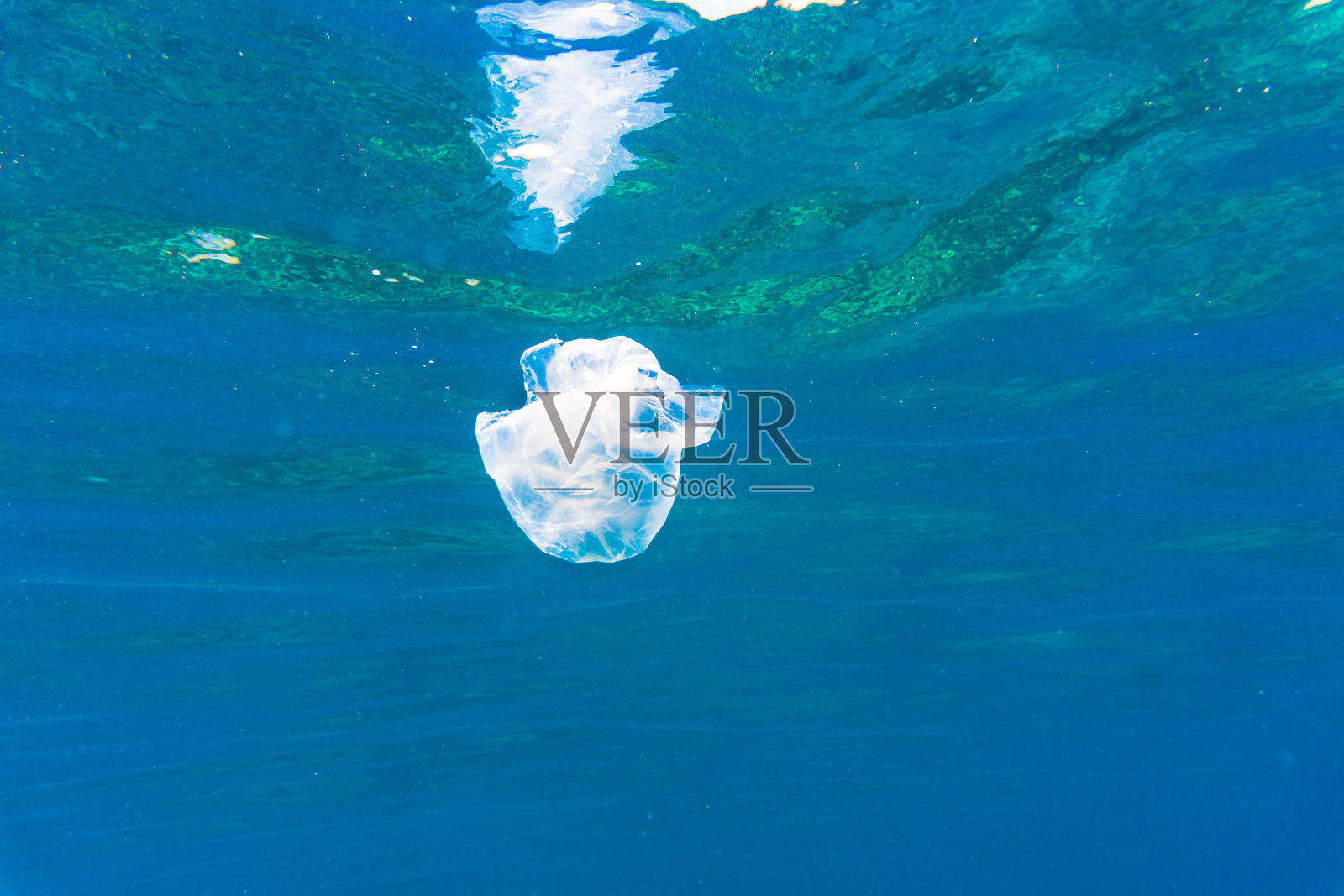 环境问题:塑料在海洋中的水下图像照片摄影图片