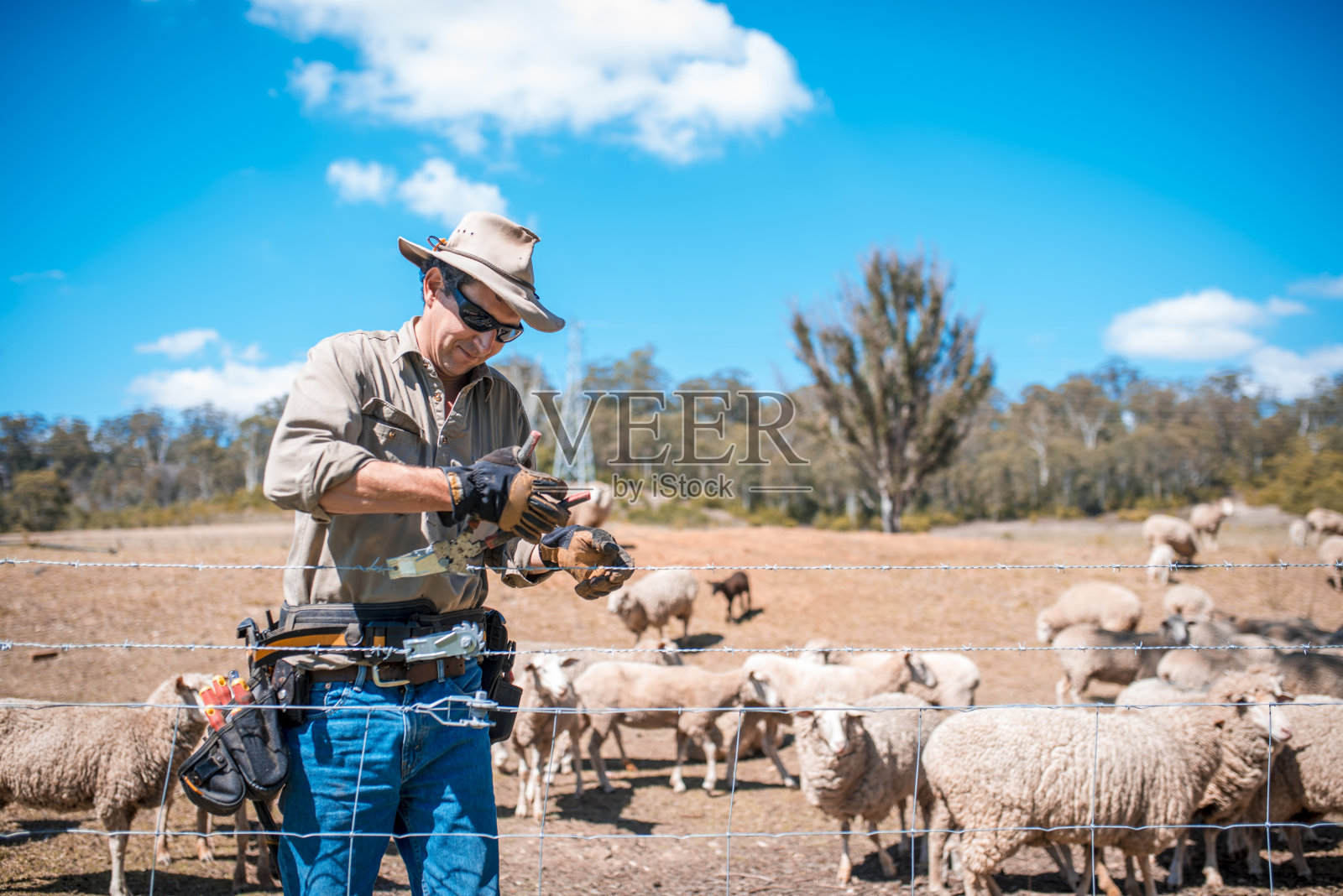 牧羊人修理栅栏照片摄影图片