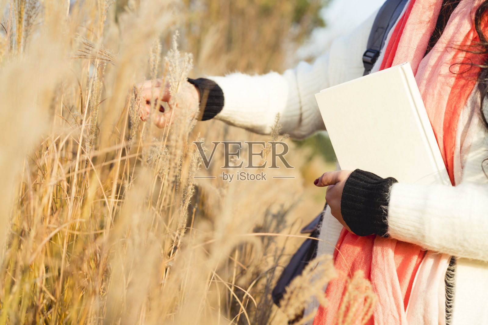 幸福的女人抚摸着芦苇植物照片摄影图片
