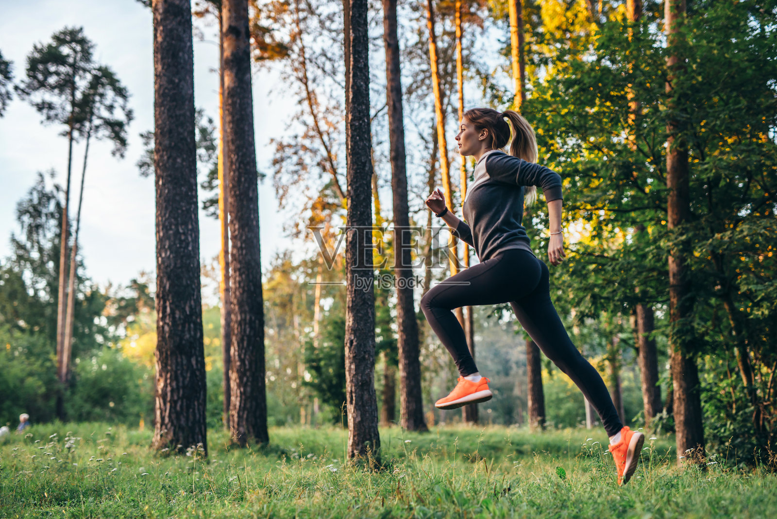 年轻的女运动员在森林里慢跑。晨跑者做体能训练。照片摄影图片
