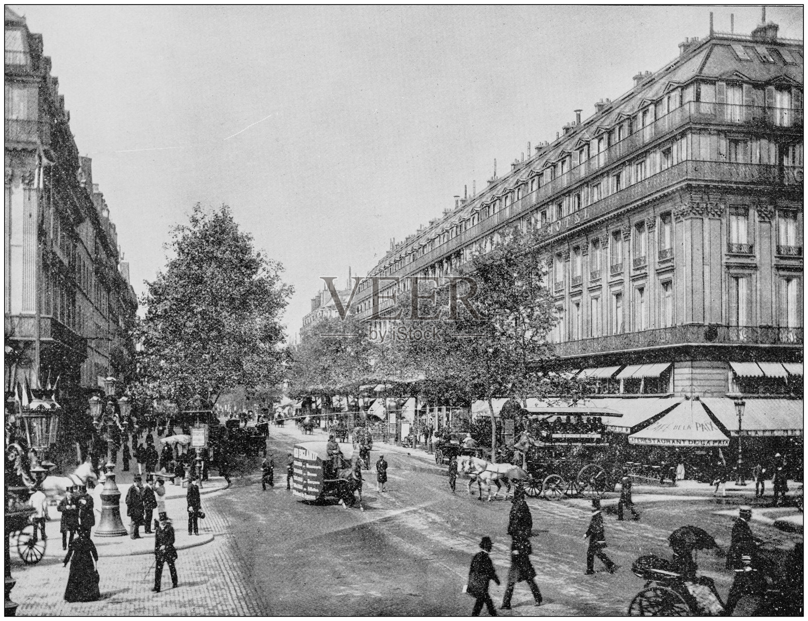 世界著名景点的古董照片:法国巴黎的林荫大道照片摄影图片