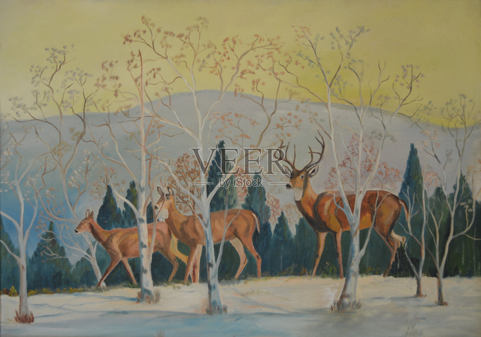 雪林里的鹿背景图片素材