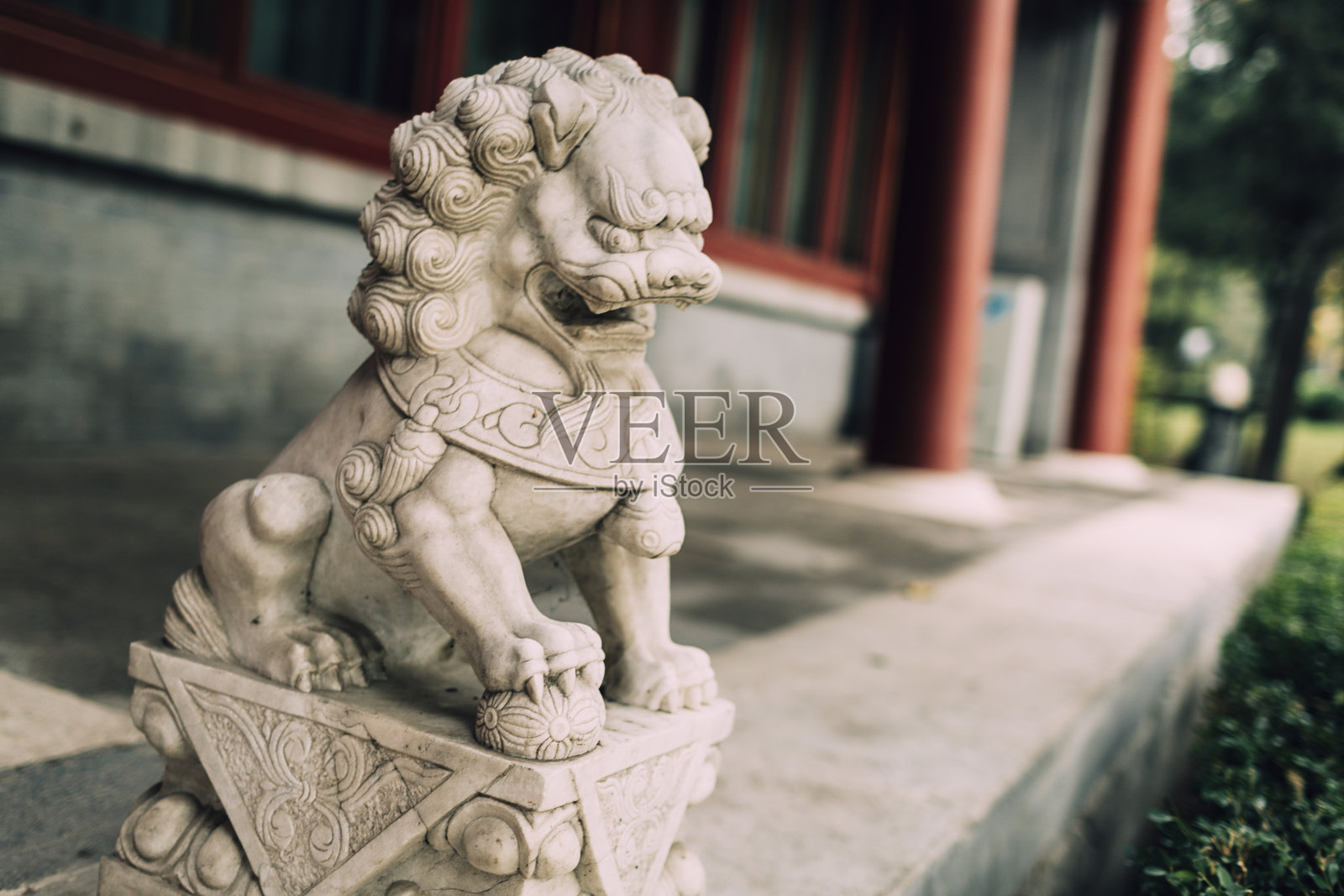 中国的狮子照片摄影图片