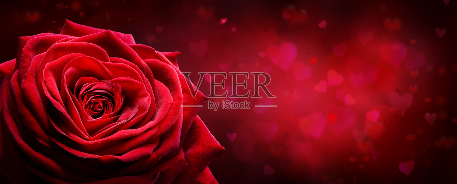 情人节卡片-红玫瑰形状的心在浪漫的背景照片摄影图片