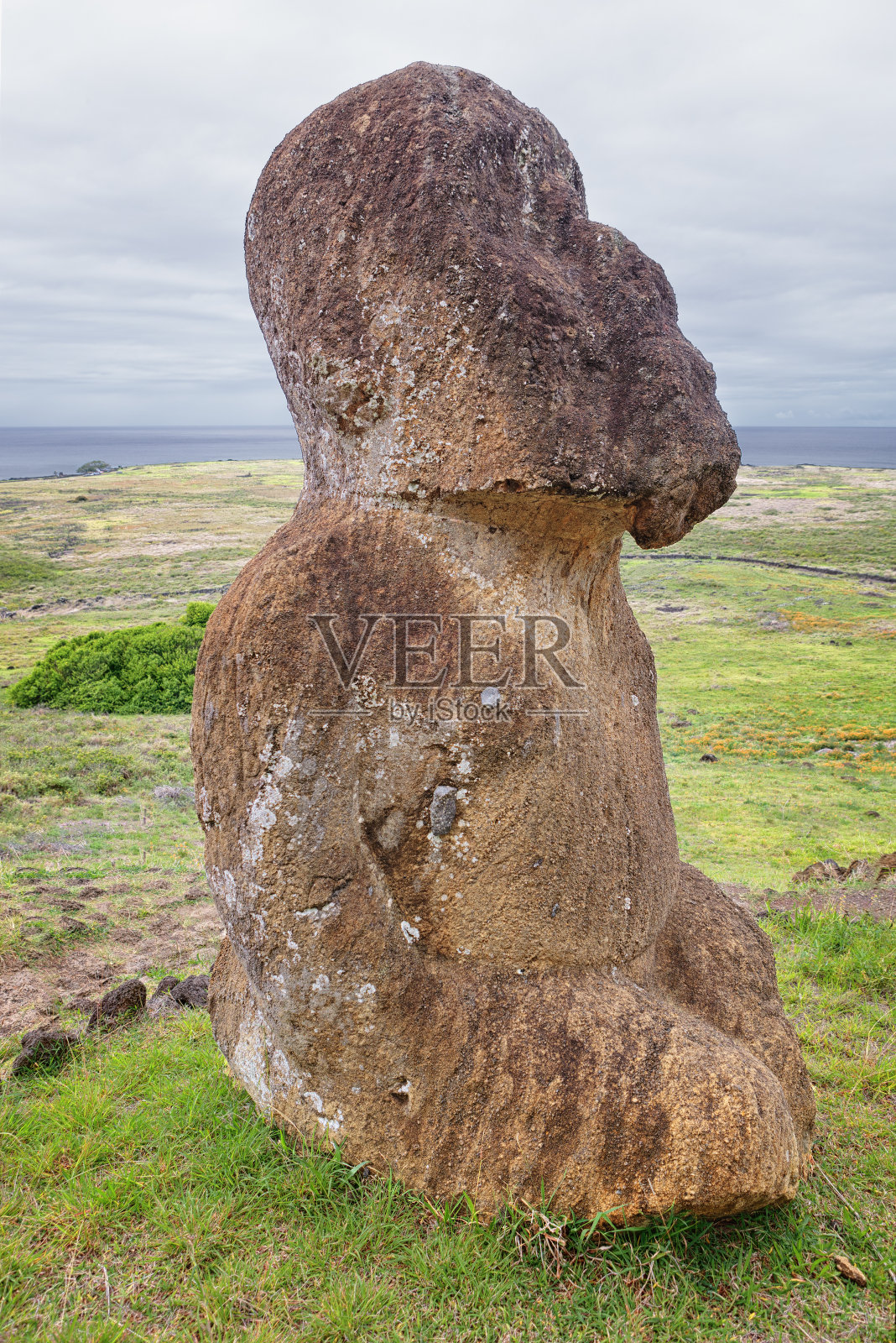 图库图里，智利复活节岛拉诺拉库采石场唯一跪坐的摩埃石像照片摄影图片