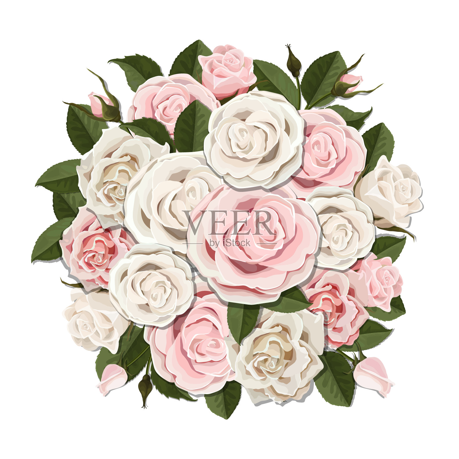 白色和粉红色的玫瑰花束插画图片素材