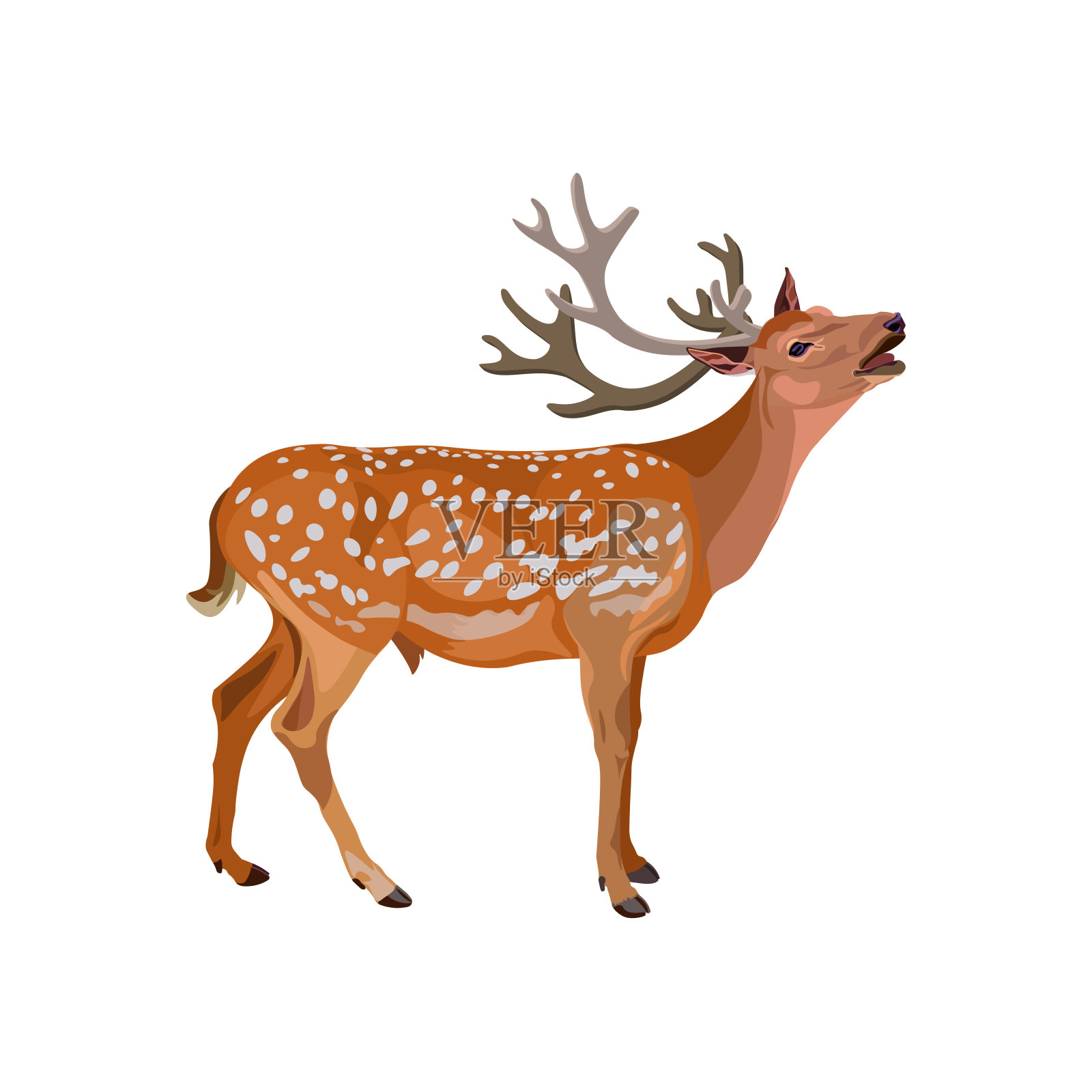 咆哮的鹿鹿插画图片素材