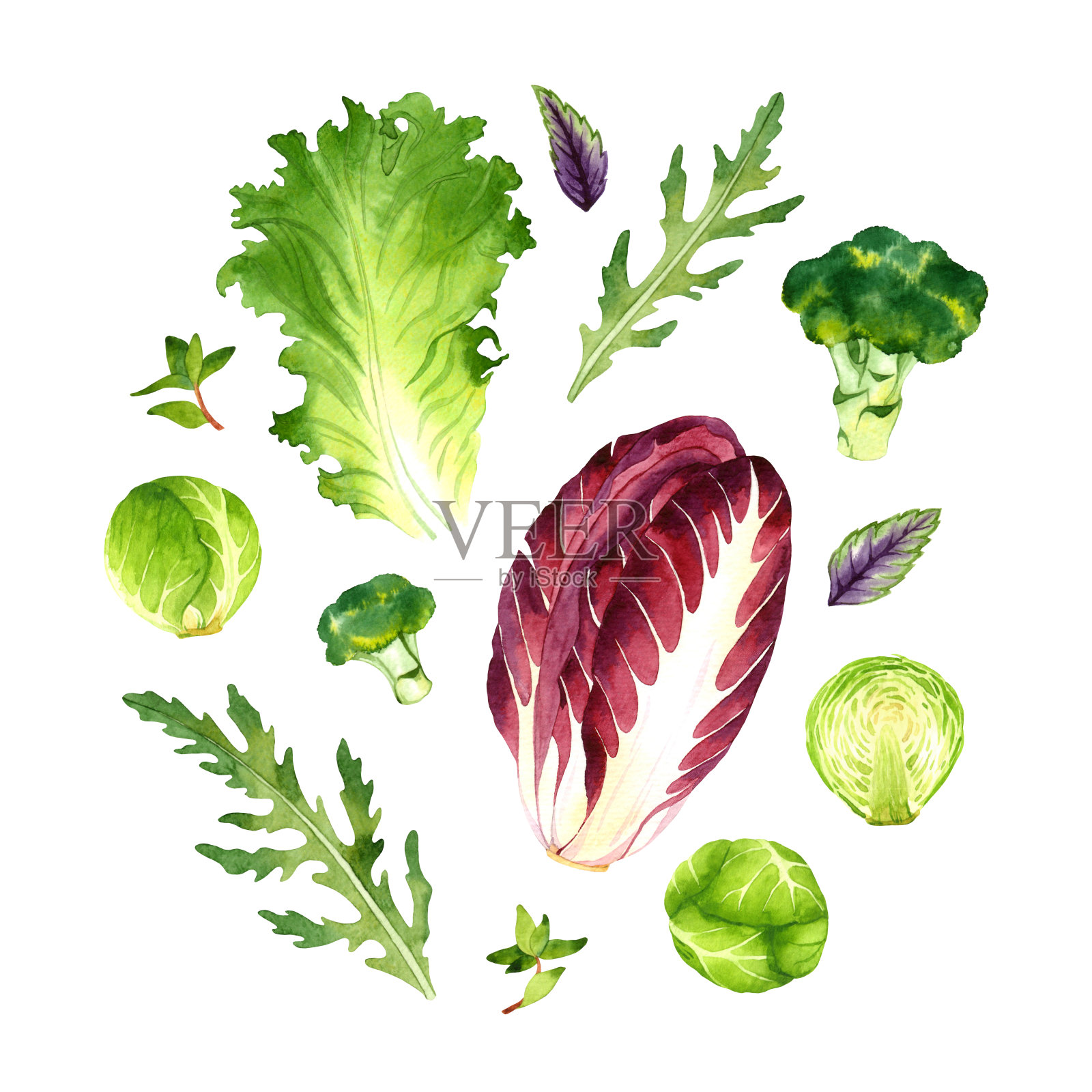 孤立的水彩蔬菜插画图片素材