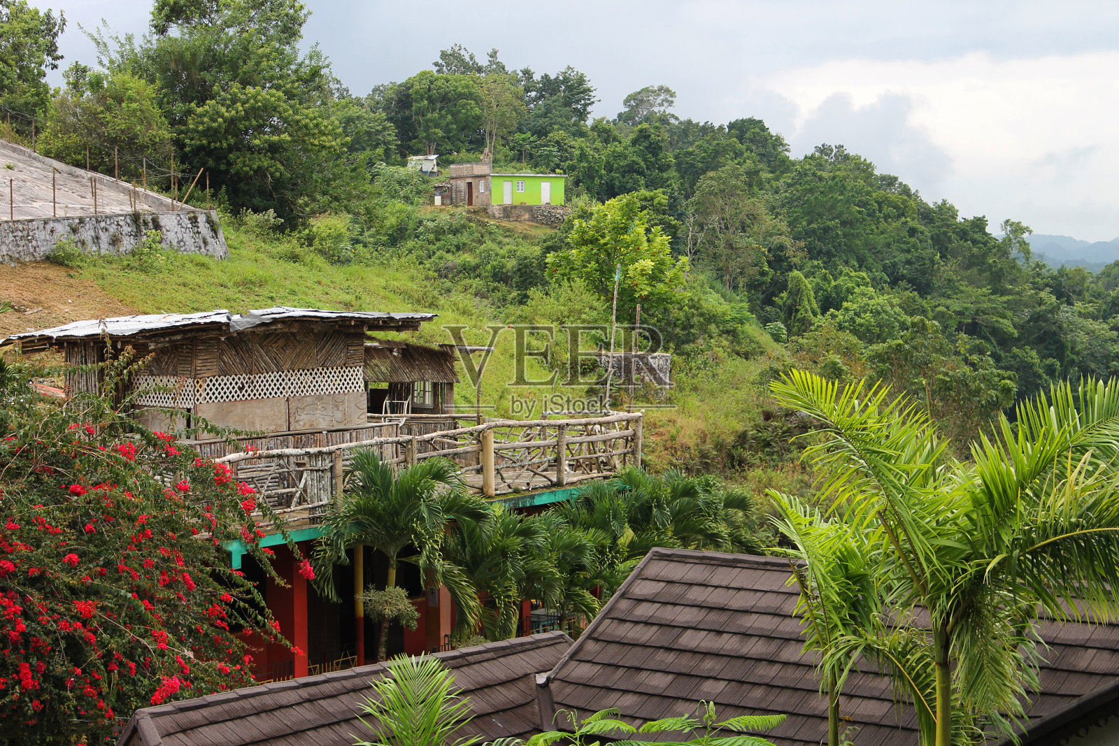 牙买加九英里(Nine Mile)的山坡上，郁郁葱葱的绿树掩映着房屋和棚屋。照片摄影图片