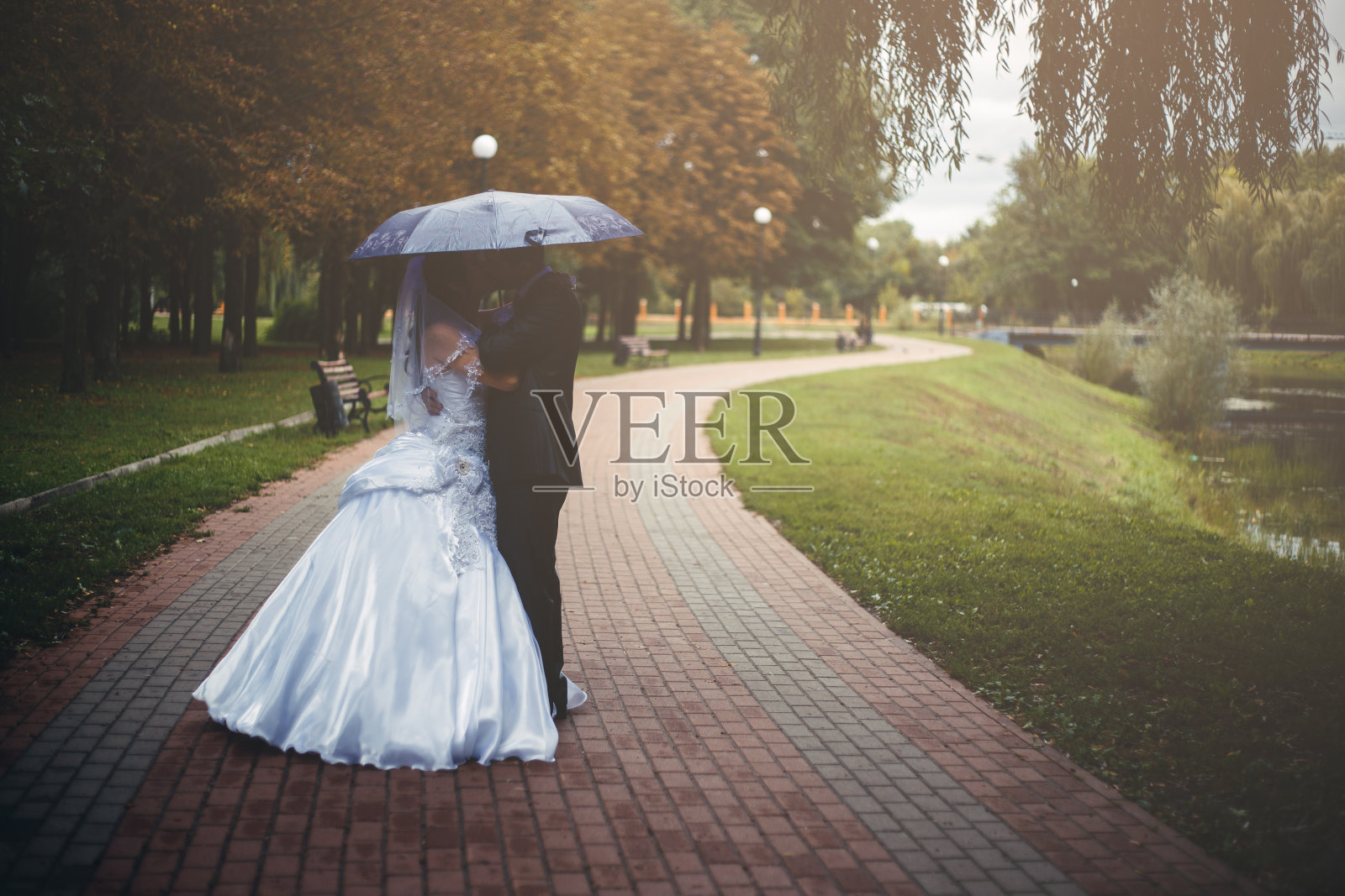 新婚夫妇在伞下浪漫的接吻照片摄影图片