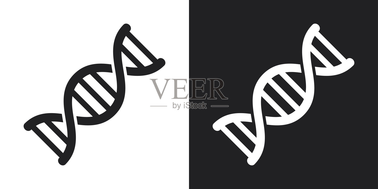 向量DNA图标。黑白背景上的双色调版本插画图片素材