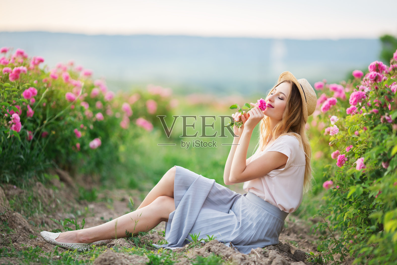 美丽的年轻女孩戴着草帽坐在花园里，周围有粉红色的玫瑰照片摄影图片