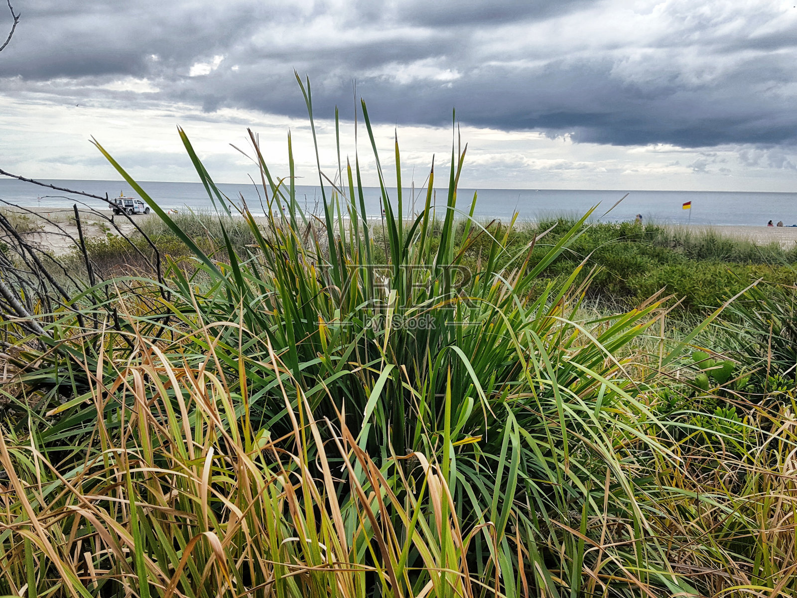 库兰加塔海滩，澳大利亚黄金海岸。照片摄影图片
