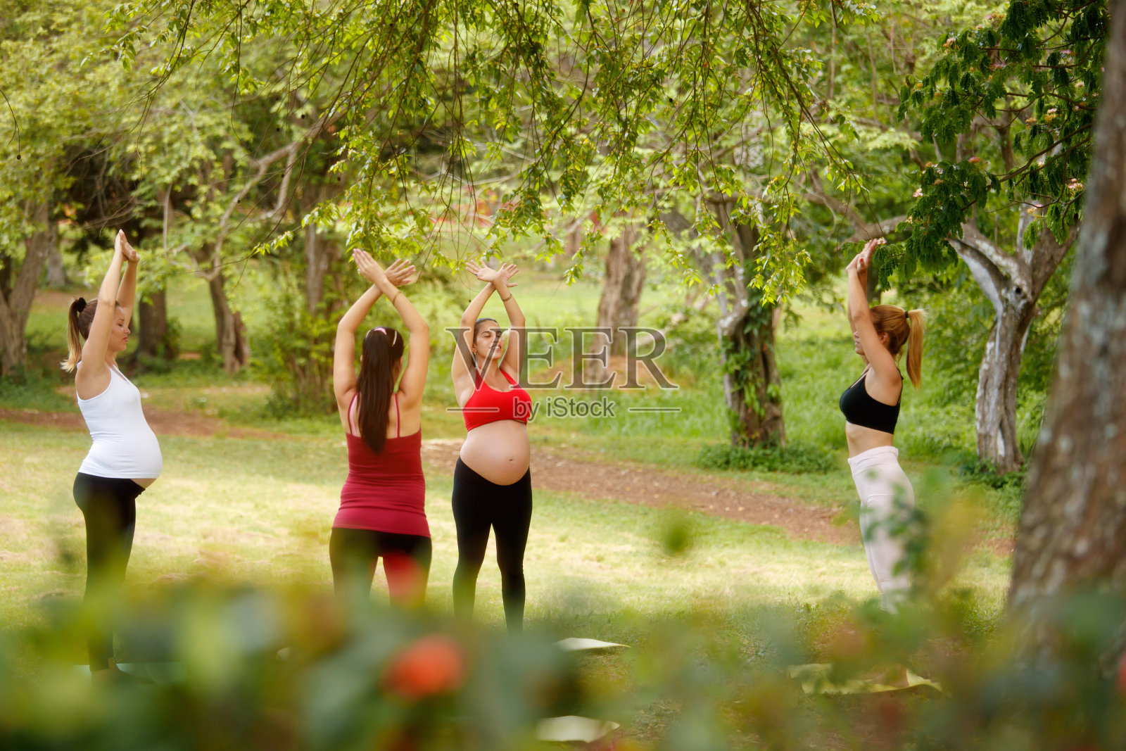 孕妇在公园里和私人教练练习瑜伽照片摄影图片