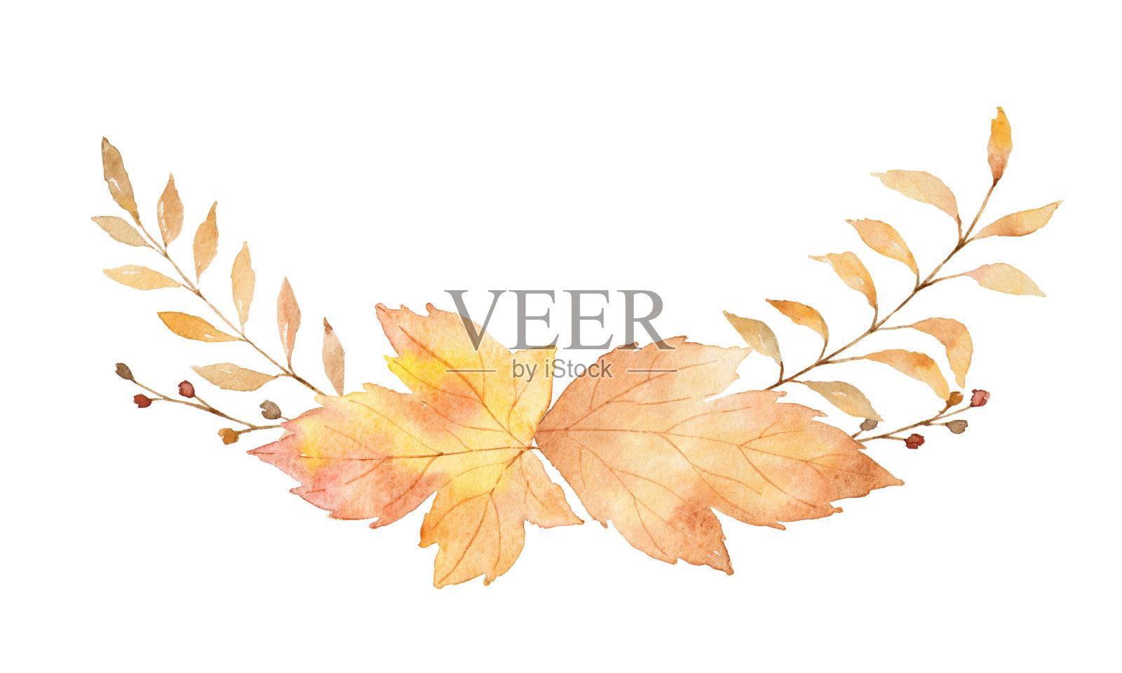 水彩花环的树叶和树枝孤立在白色的背景。插画图片素材