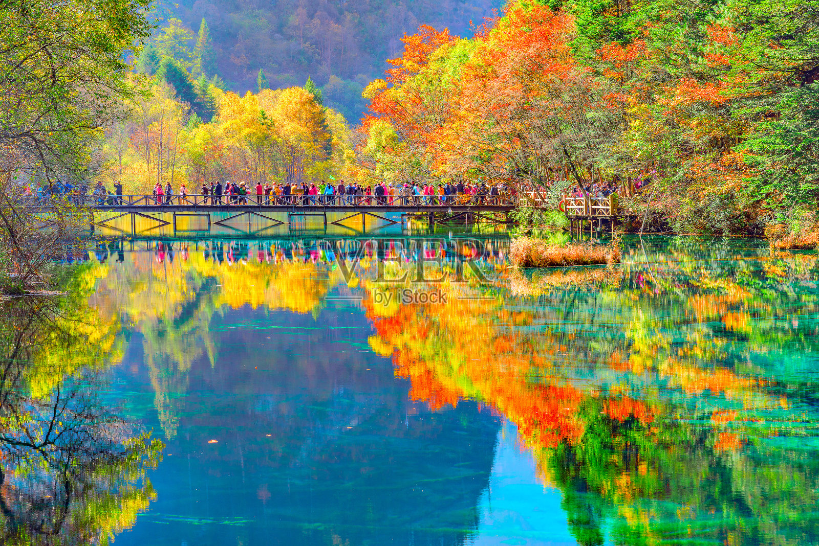 秋天的时候，五颜六色的湖旁的树木。照片摄影图片