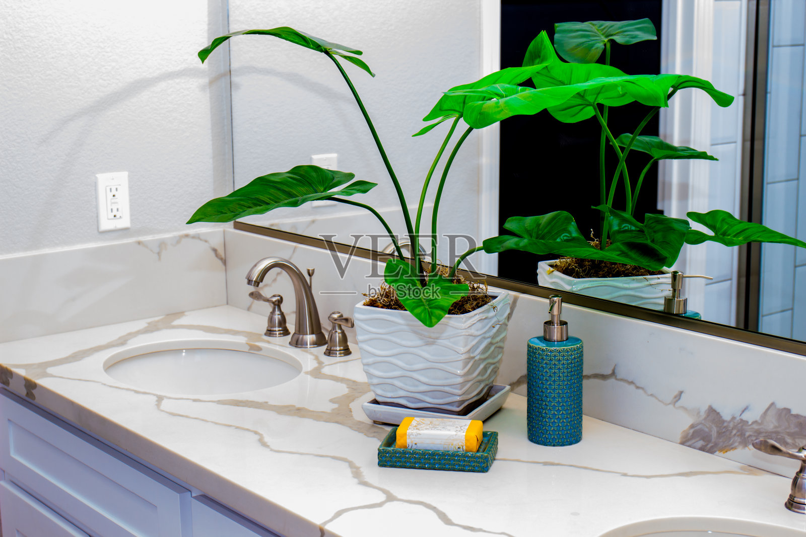 浴室植物和洗液照片摄影图片