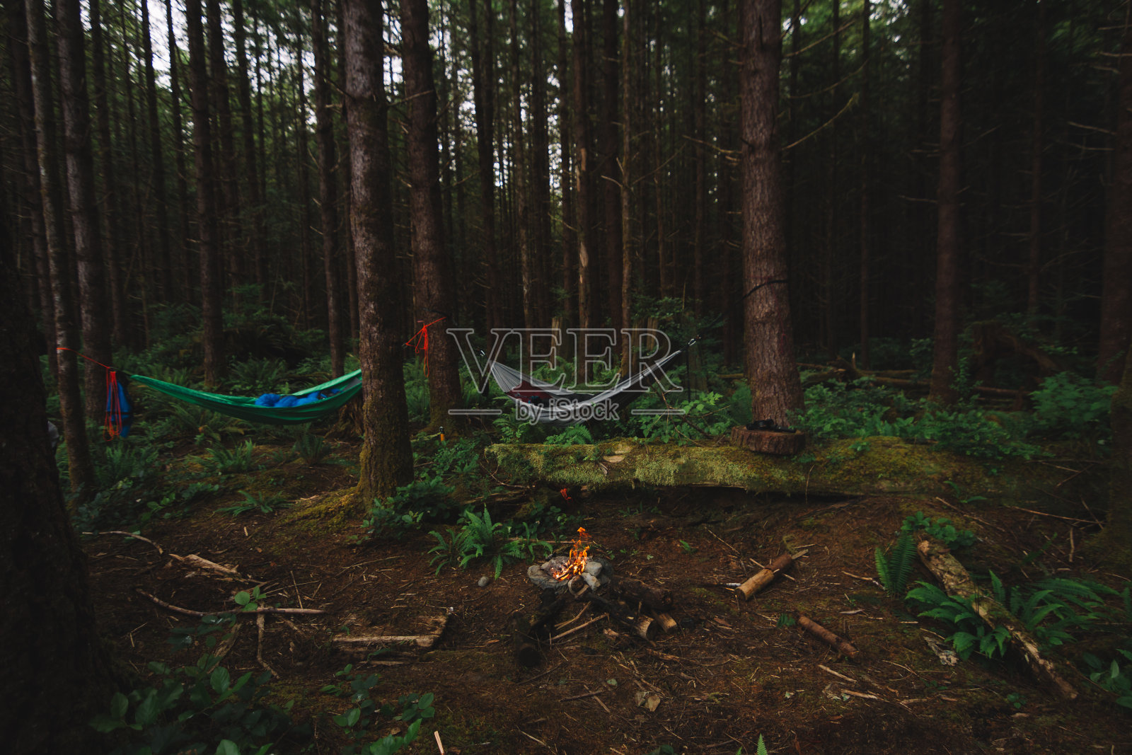 用吊床和篝火在雨林中露营照片摄影图片
