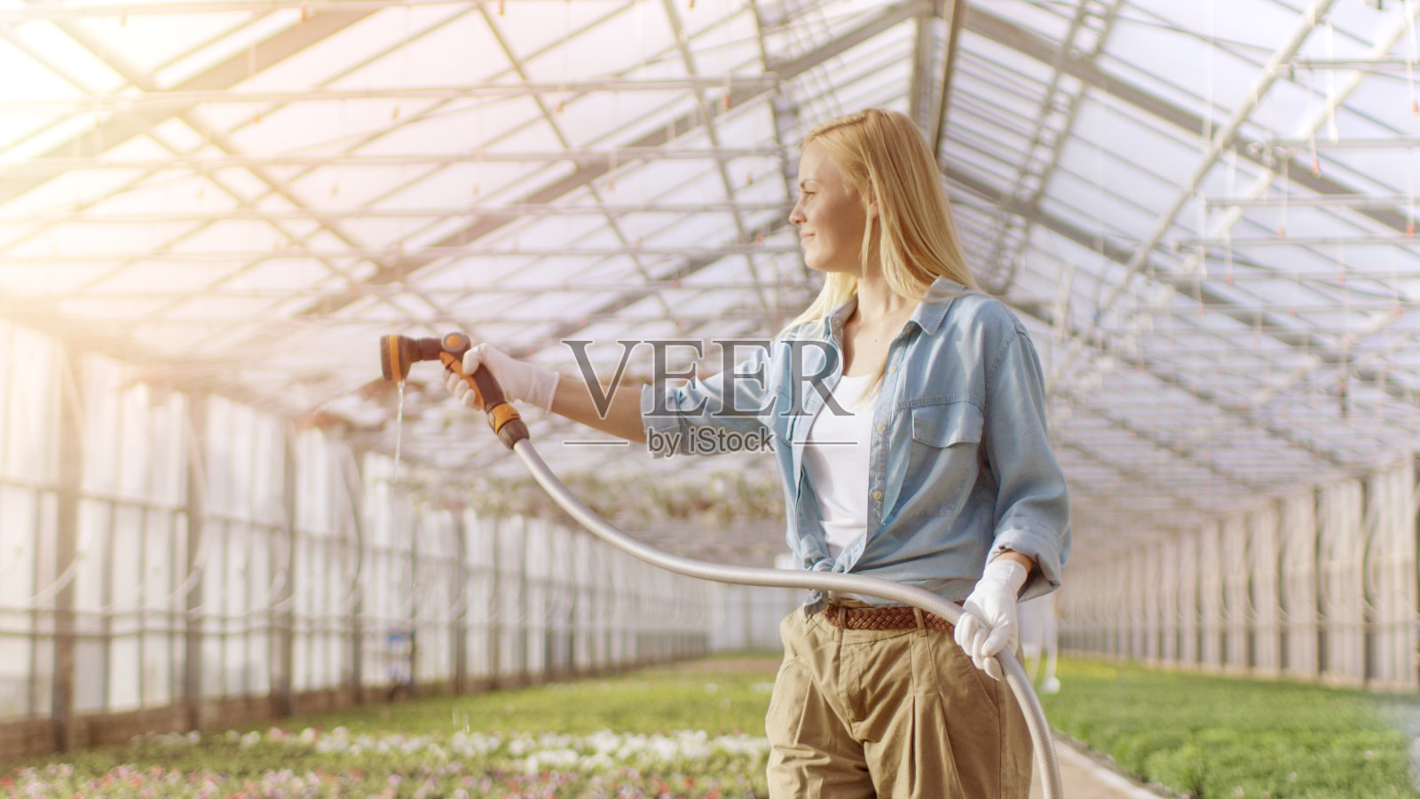 快乐的女性园丁水植物和花与软管在阳光工业温室。照片摄影图片