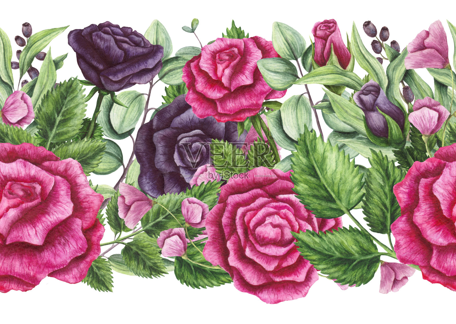 无缝边界的水彩粉色和紫罗兰玫瑰插画图片素材