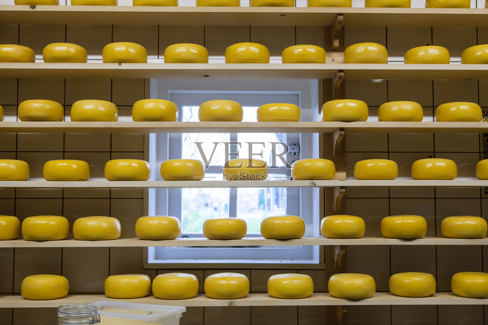 荷兰的奶酪照片摄影图片
