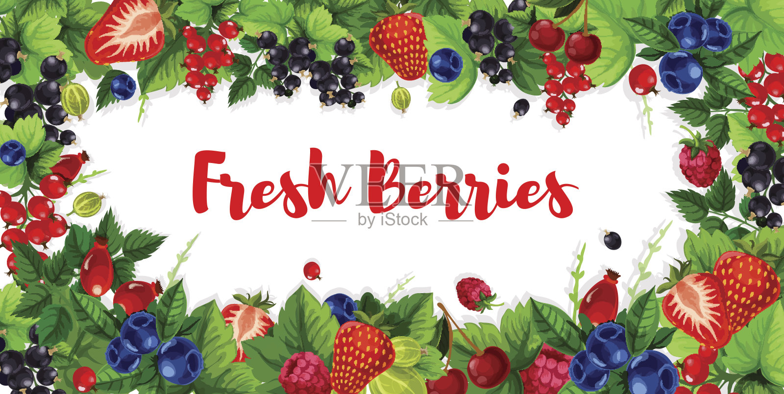 浆果和甜的花园水果矢量横幅插画图片素材