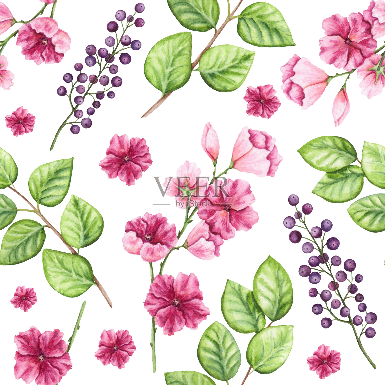 花，紫浆果和叶子插画图片素材