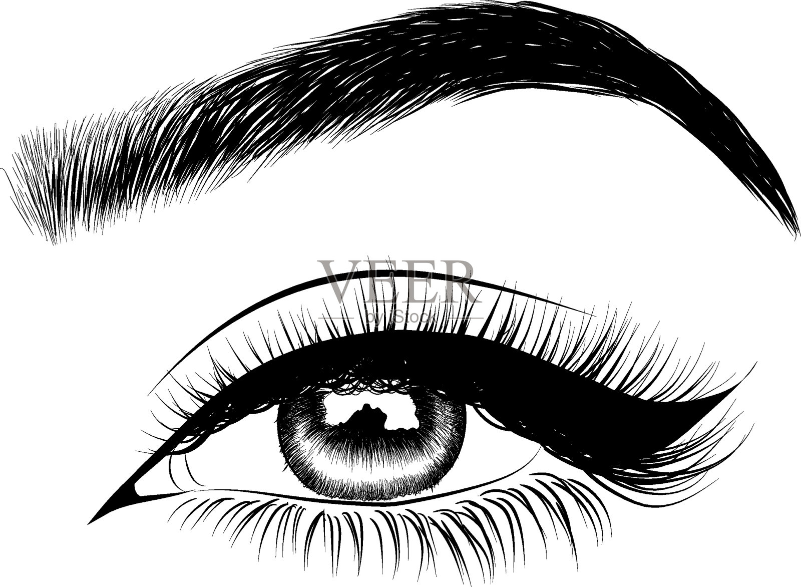 女人的眼睛有着完美的形状的眉毛和饱满的睫毛设计元素图片