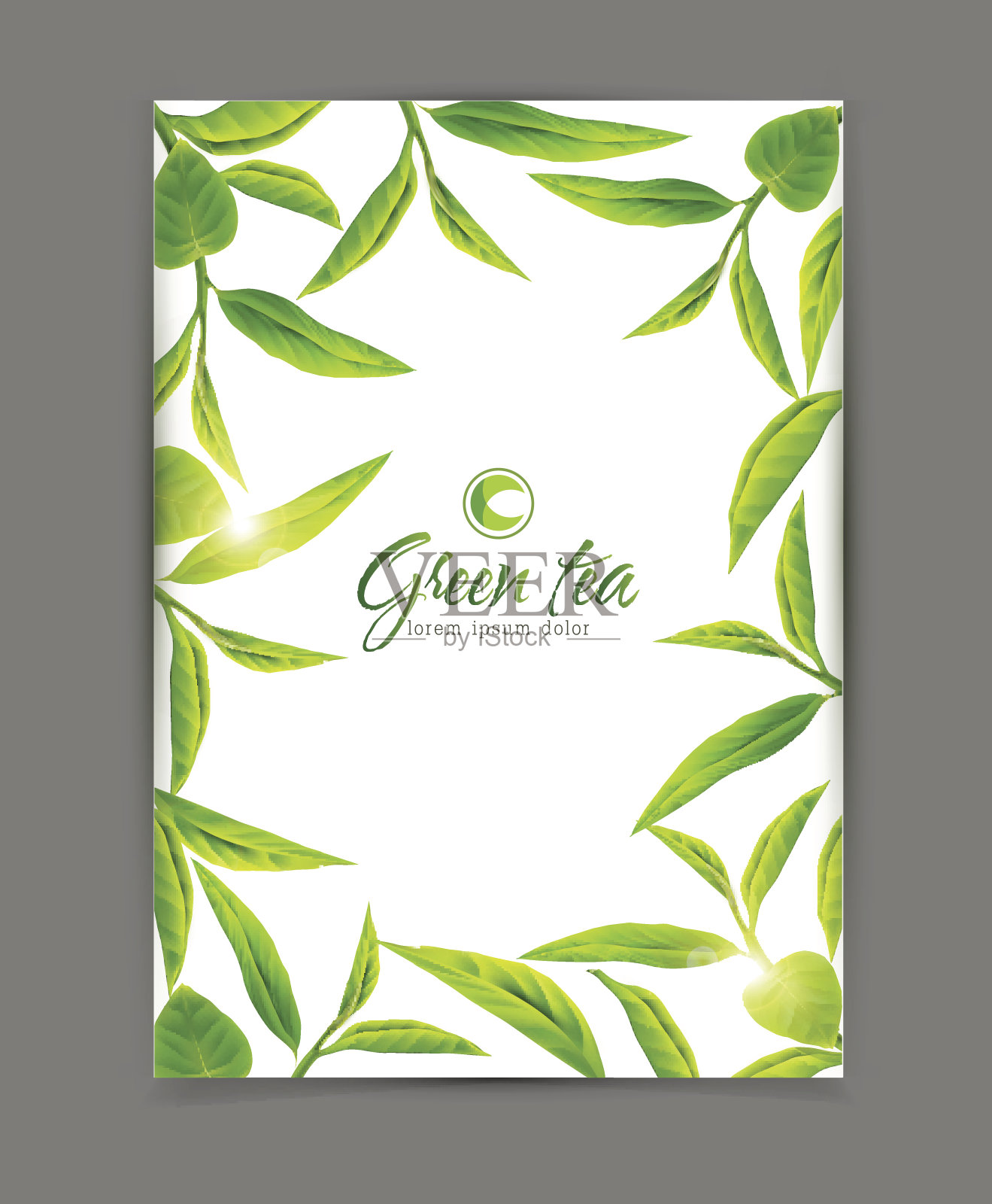 矢量模板与框架的绿茶叶子，孤立在白色的背景。广告插图，小册子，传单，现代促销。插画图片素材
