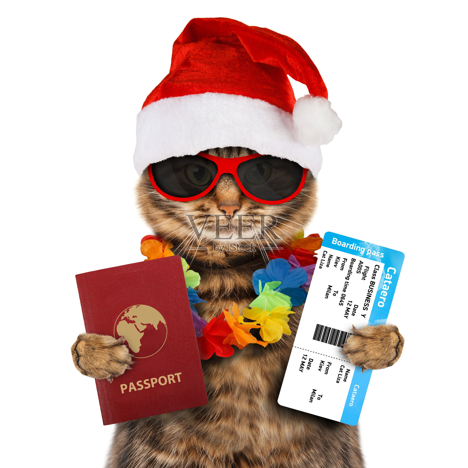 带着护照和机票戴着圣诞帽的搞笑猫。，孤立在白色背景上。他们旅行。照片摄影图片