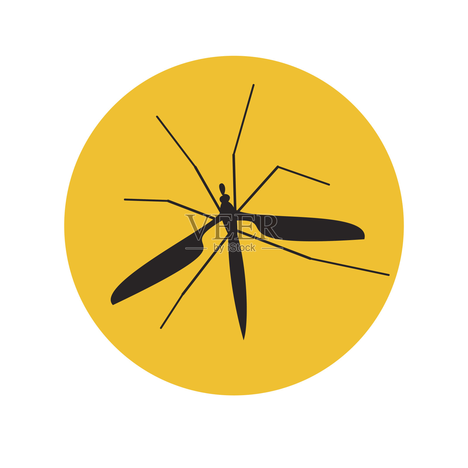 载体标志蚊子在琥珀中插画图片素材