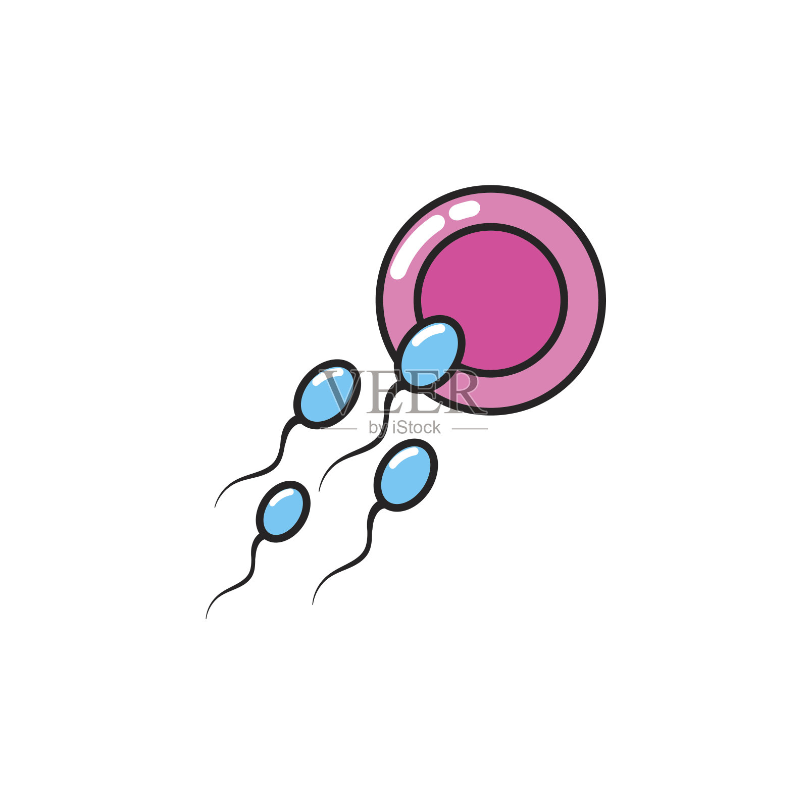 精子和卵子的受精过程插画图片素材_ID:134767154-Veer图库