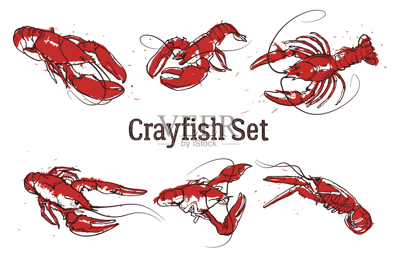 一套向量小龙虾插图绘制在墨水。溅海鲜的概念在白色的背景。插画图片素材