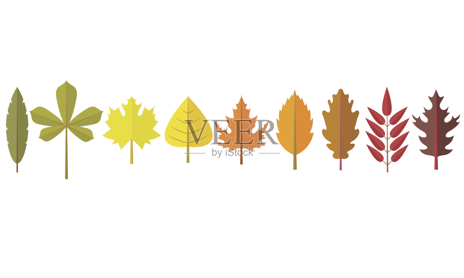秋叶平套设计。绿色，红色和橙色的秋叶收集。设计元素图片