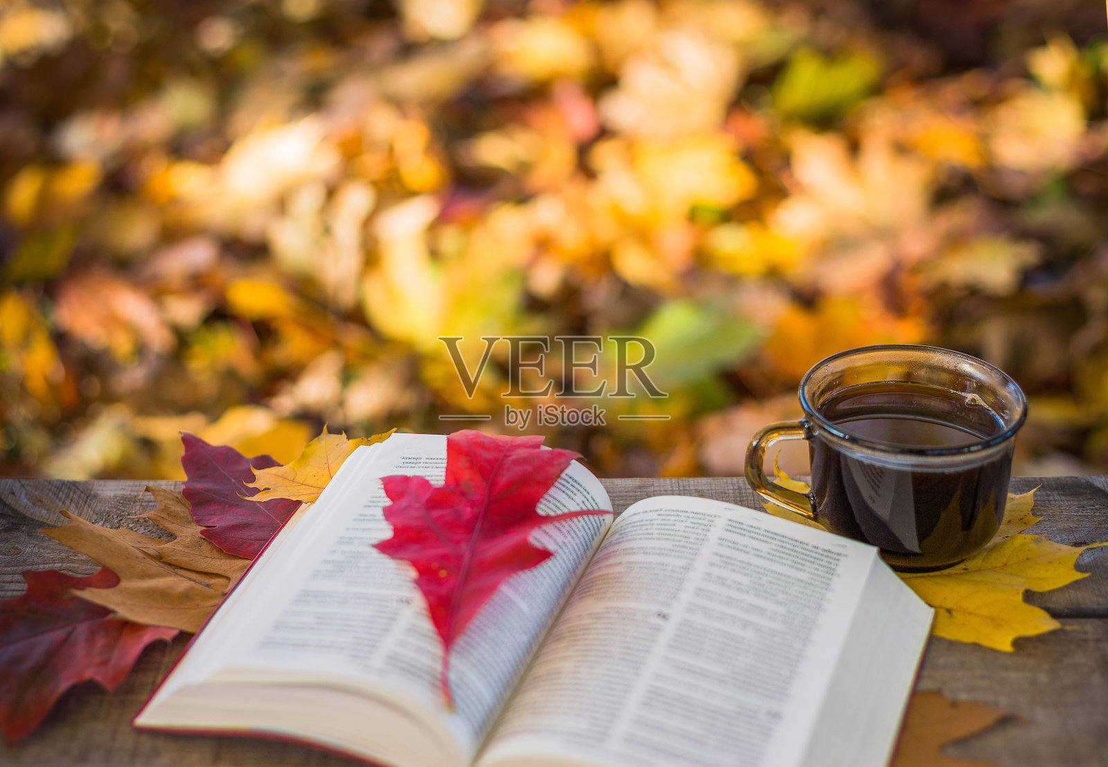 热咖啡和红色的书与秋天的树叶在木背景照片摄影图片