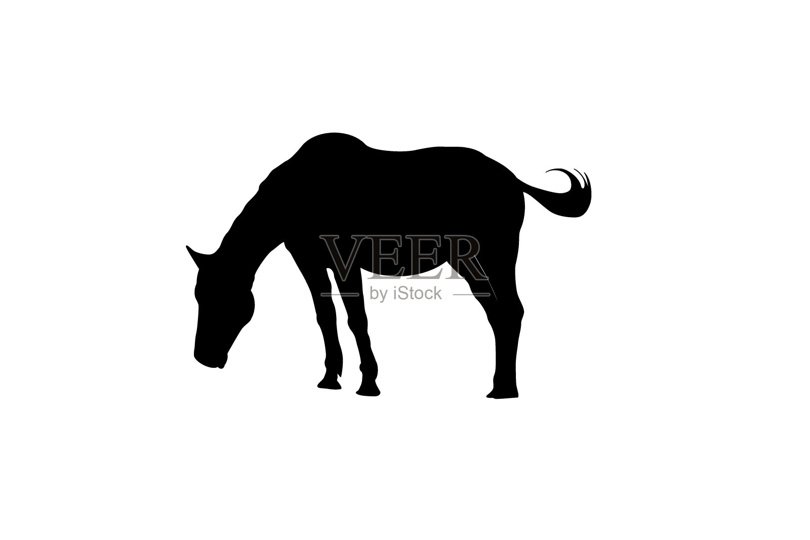 白色背景上孤立的马的剪影。设计元素图片