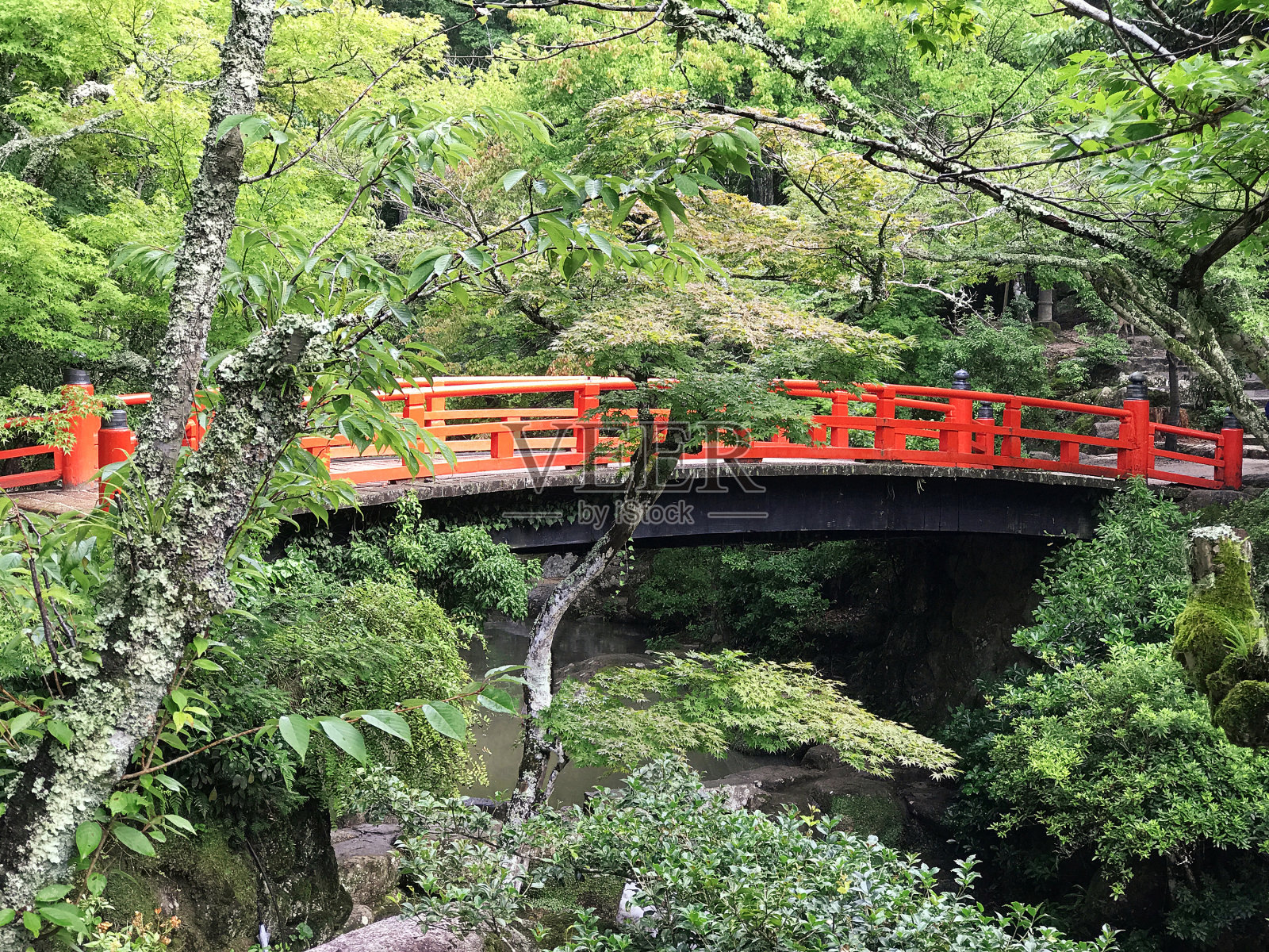红色的日本桥照片摄影图片